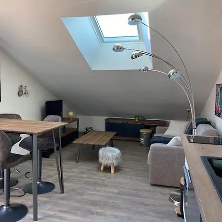 Appartement Le Martin Pecheur - *