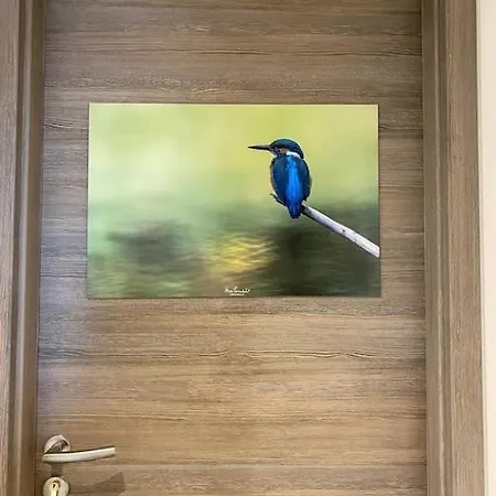 Le Martin Pecheur - Appartement *