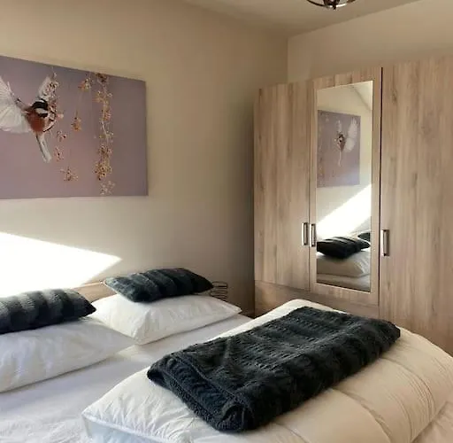 Le Martin Pecheur - * Gérardmer