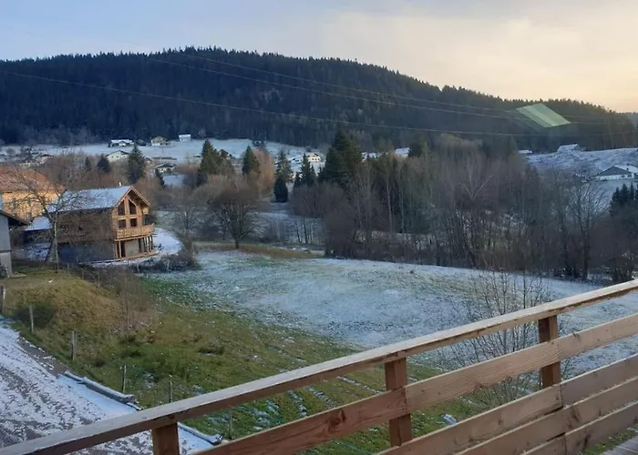 Le Martin Pecheur - * Gérardmer